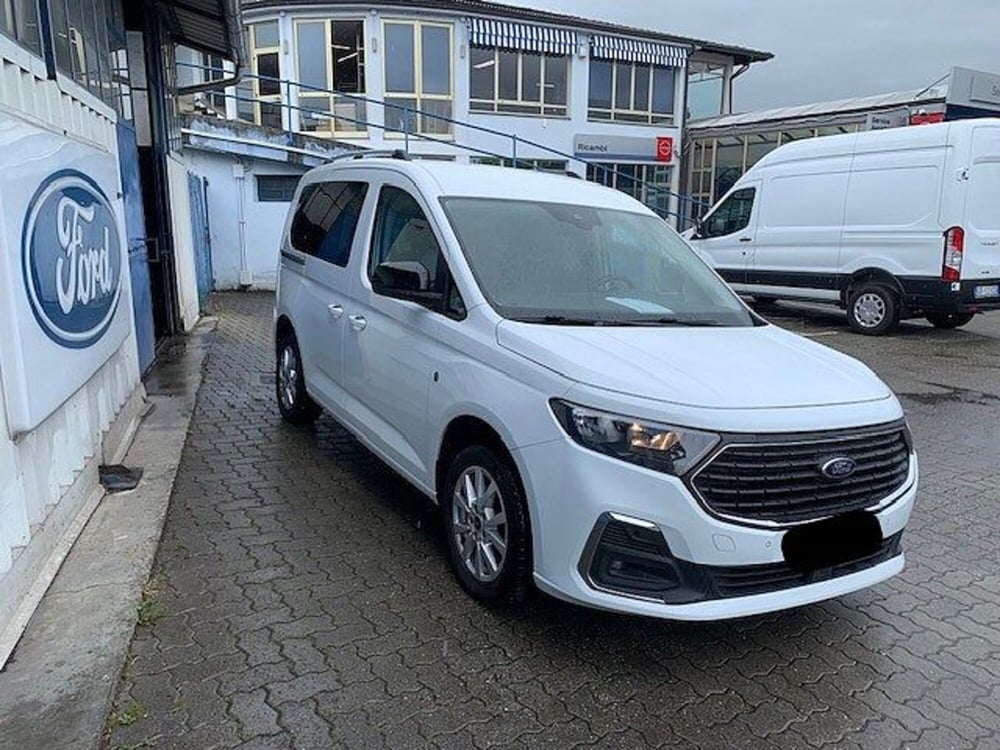 Ford Tourneo Connect usata a Torino (5)