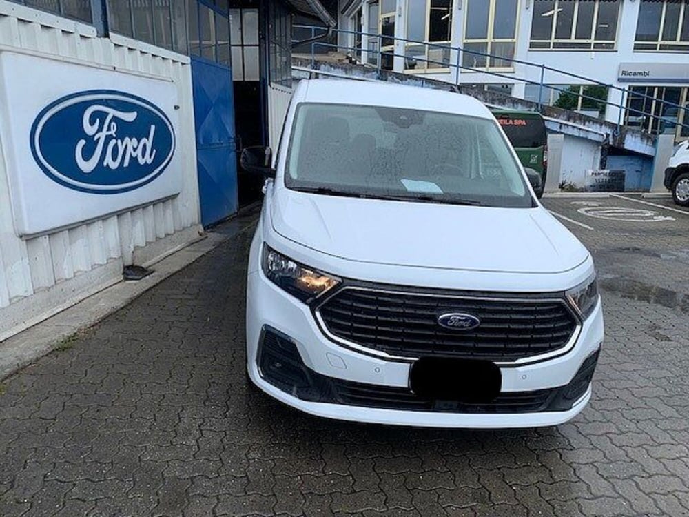 Ford Tourneo Connect usata a Torino (6)