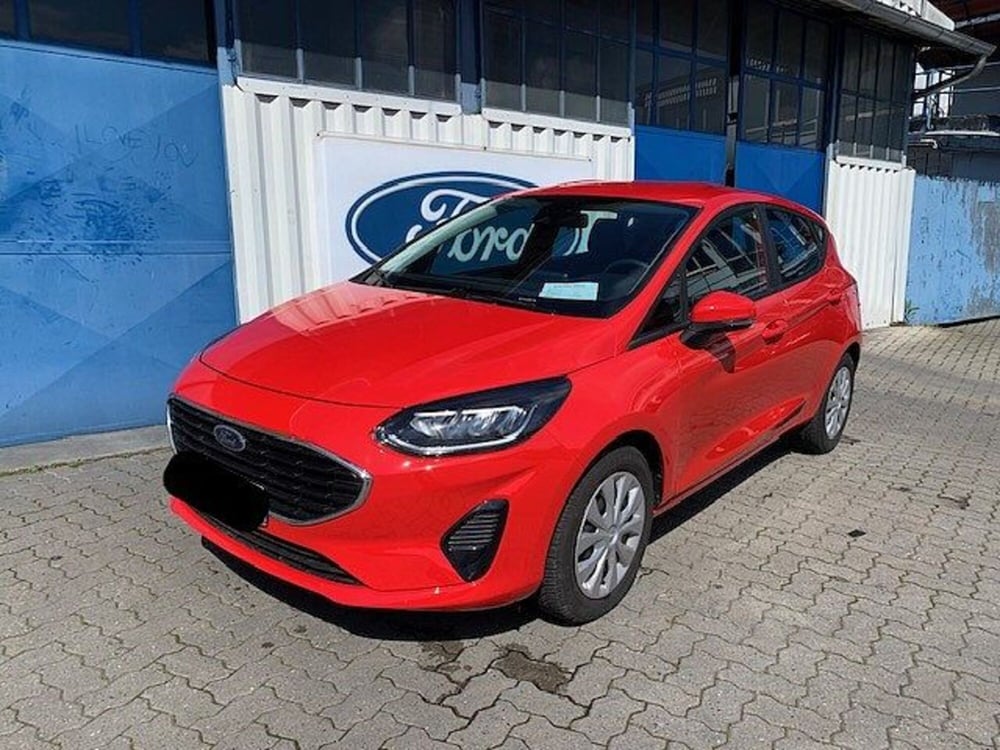 Ford Fiesta usata a Torino (2)