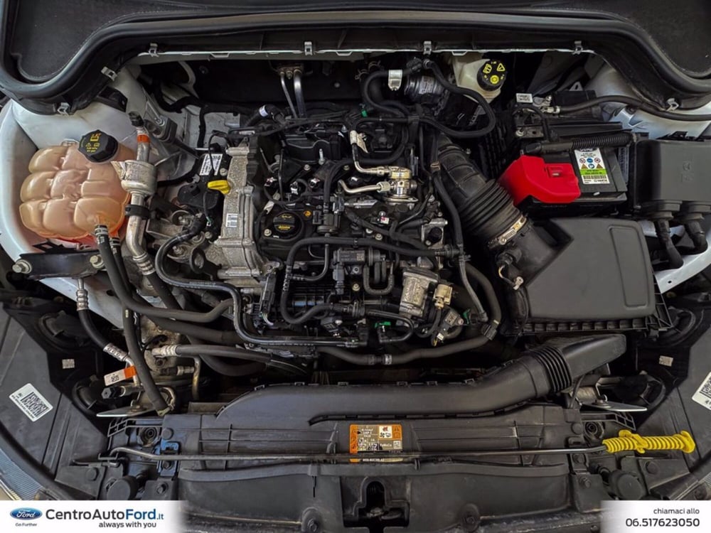 Ford Focus usata a Roma (11)