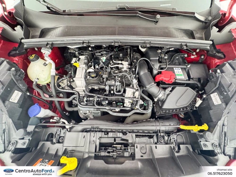 Ford Puma usata a Roma (12)