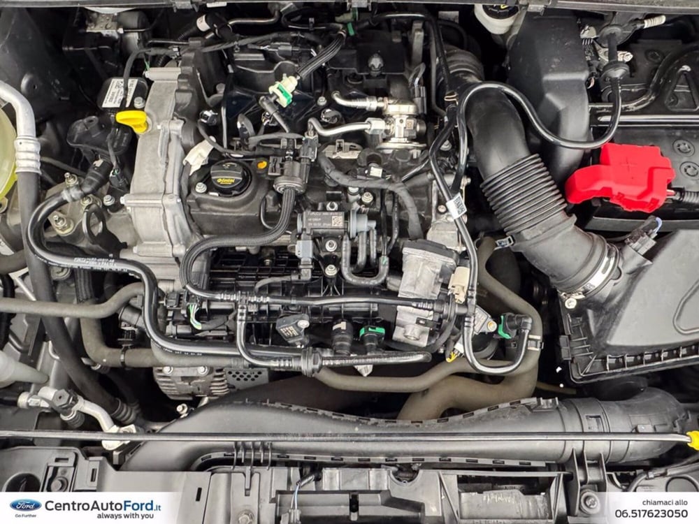 Ford Puma usata a Roma (12)