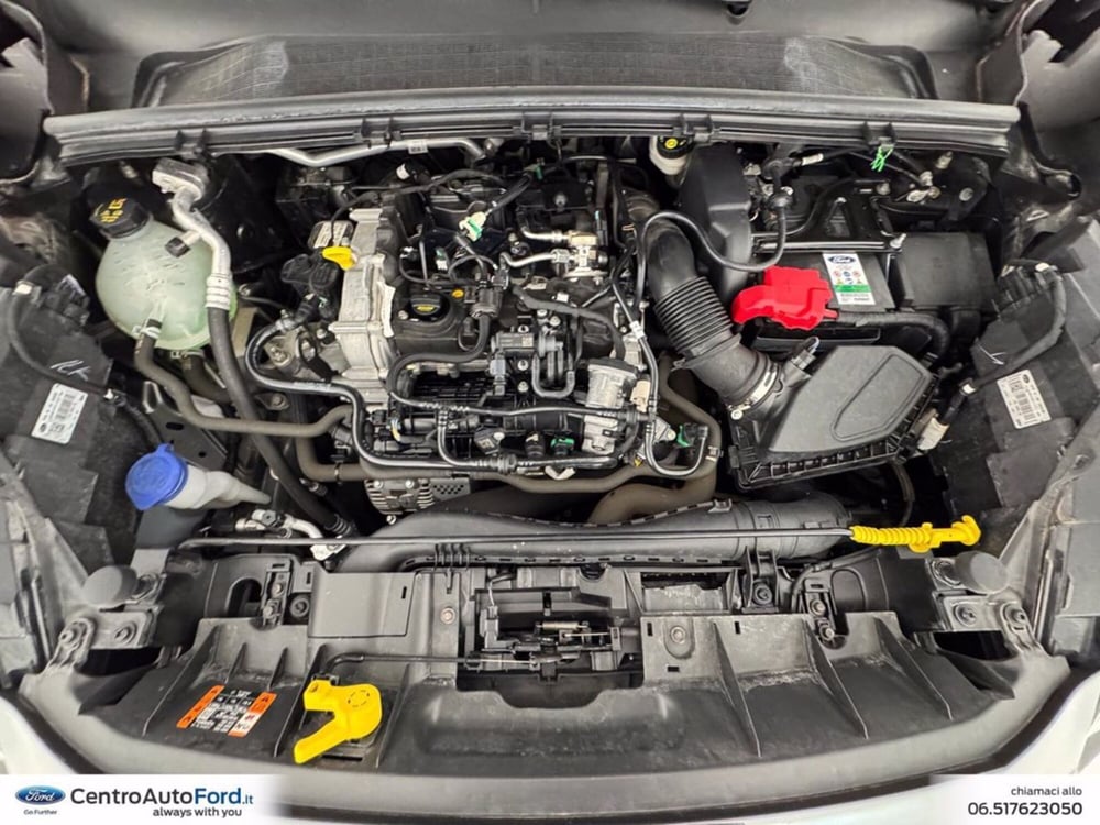 Ford Puma usata a Roma (12)