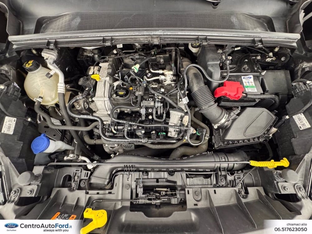 Ford Puma usata a Roma (12)