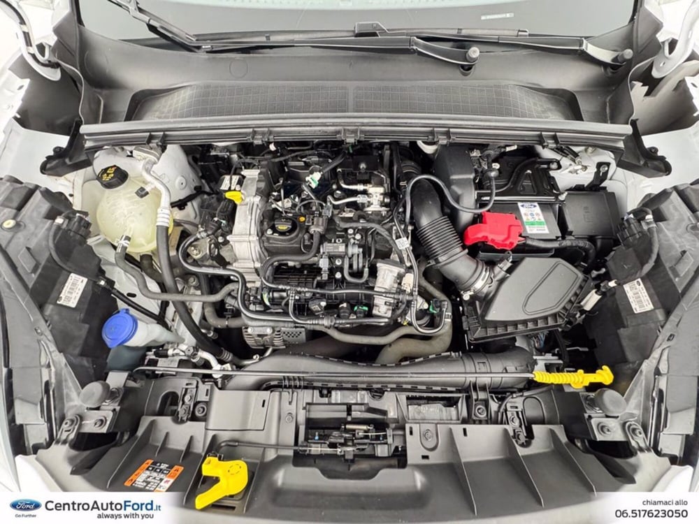 Ford Puma usata a Roma (12)