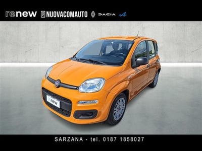 Fiat Panda 1.0 firefly hybrid s&amp;s 70cv 5p.ti del 2020 usata a Sesto Fiorentino