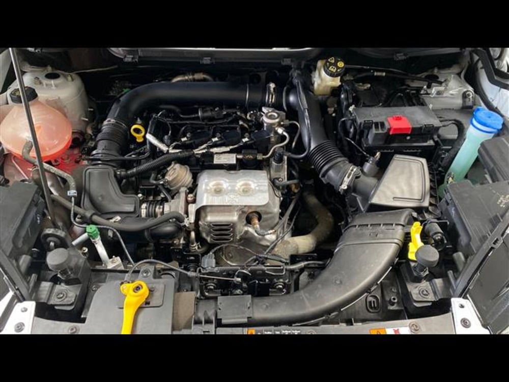 Ford EcoSport usata a Vicenza (15)