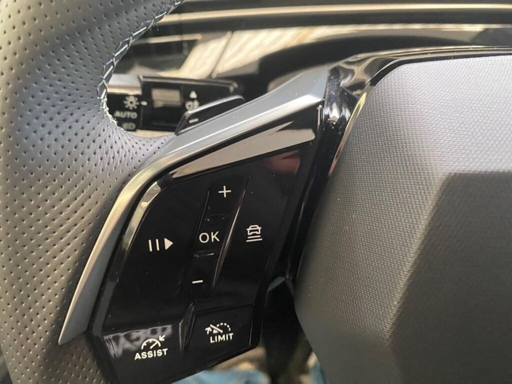 Peugeot 3008 usata a Torino (13)