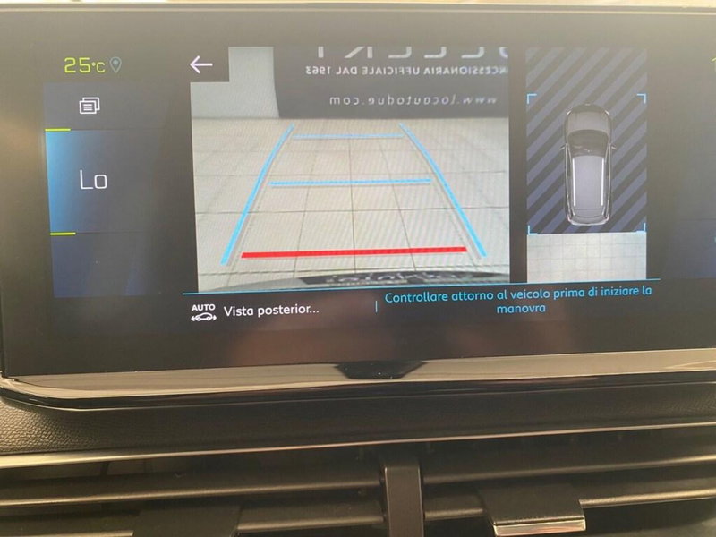 Peugeot 3008 usata a Torino (12)