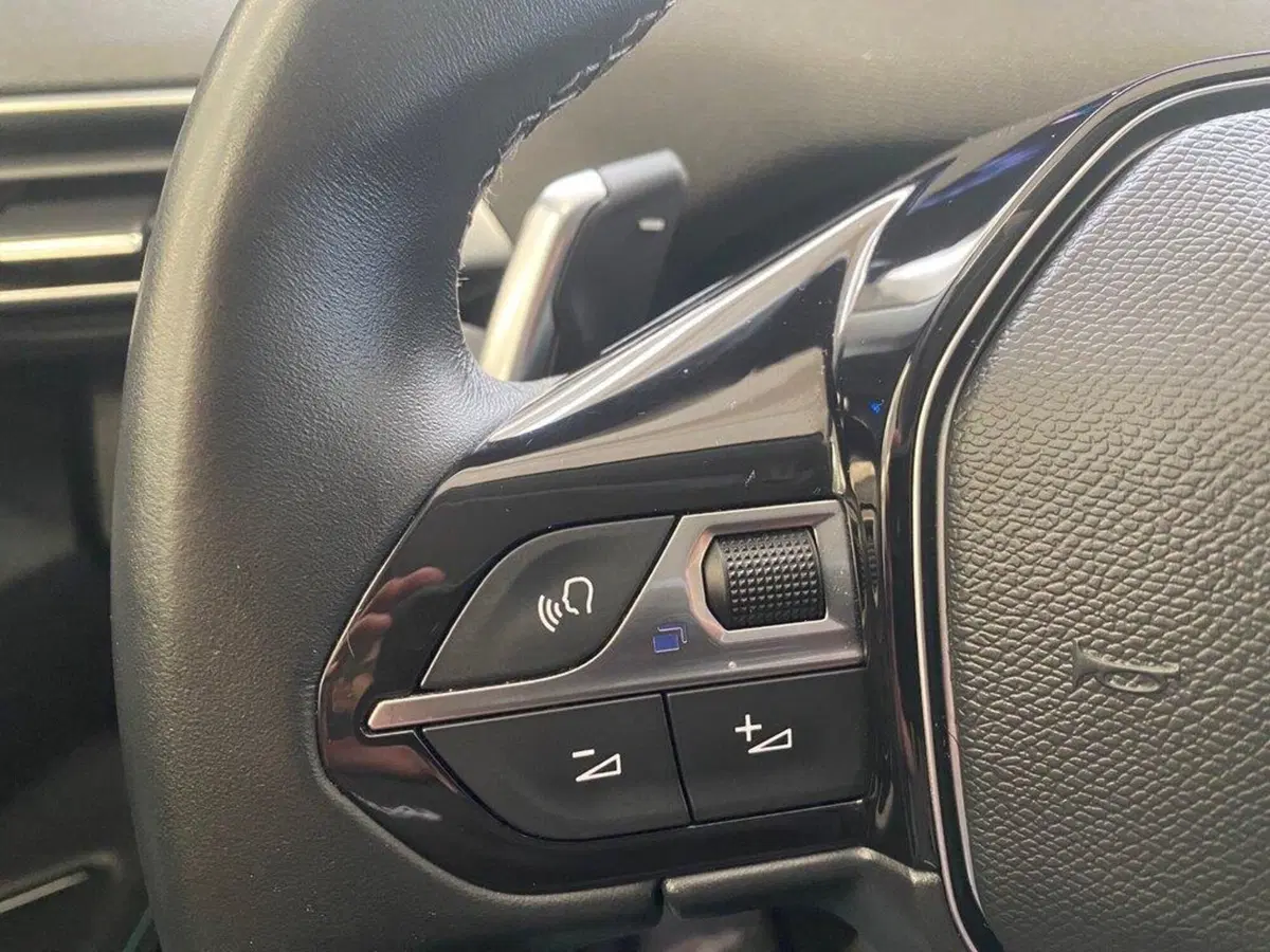 Peugeot 3008 usata a Torino (14)