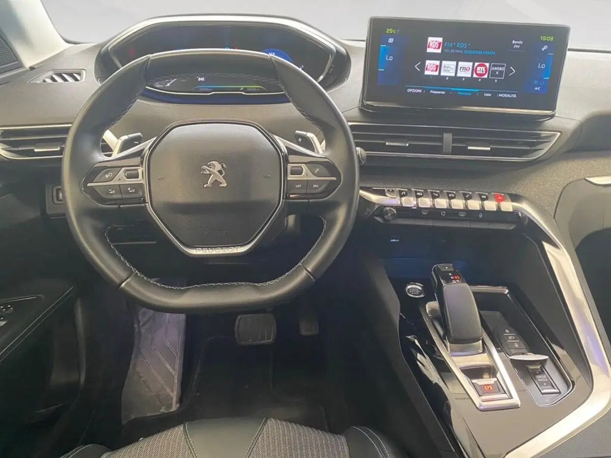 Peugeot 3008 usata a Torino (7)