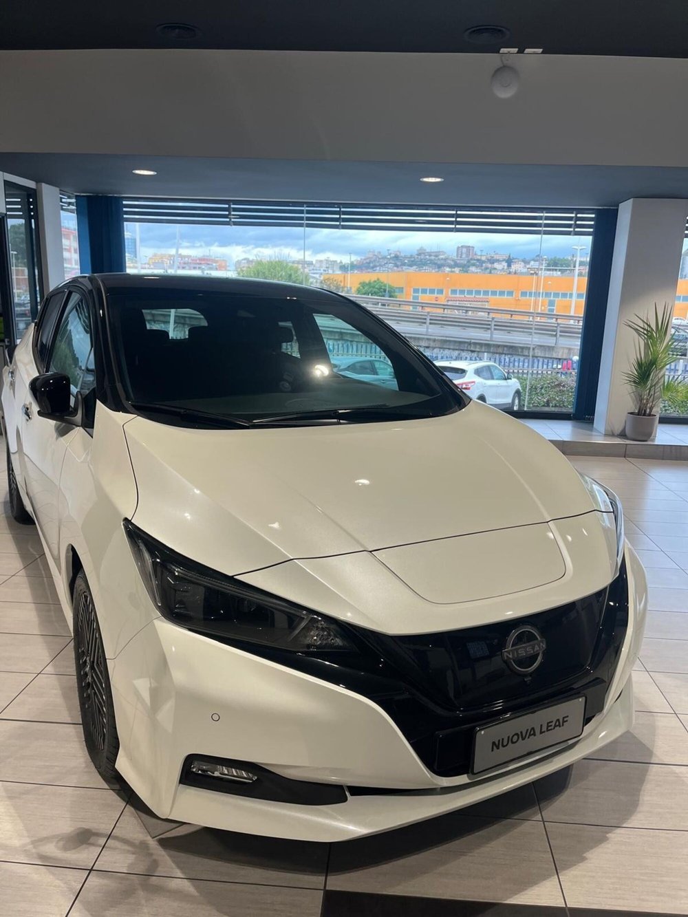 Nissan Leaf nuova a Cagliari (2)