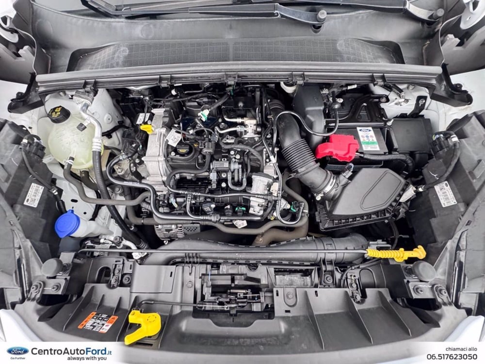 Ford Puma usata a Roma (12)