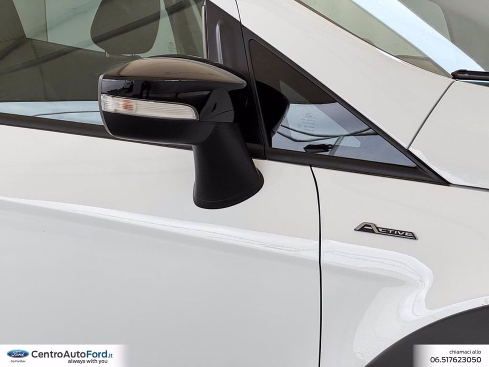 Ford EcoSport usata a Roma (15)