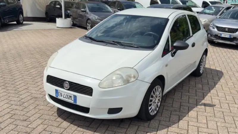 Fiat Punto usata a Como