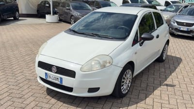 Fiat Punto 1.2 8V 3 porte Easy del 2012 usata a Erba