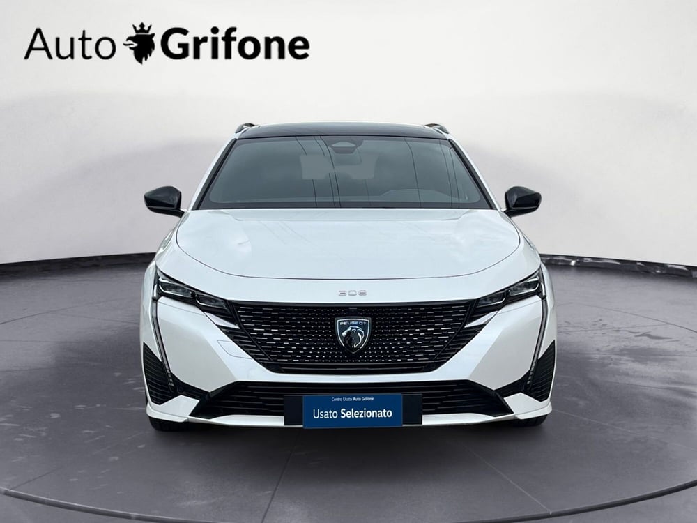 Peugeot 308 SW usata a Modena (2)