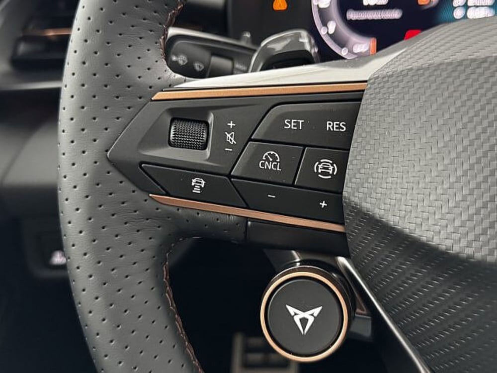 Cupra Terramar nuova a Vicenza (17)