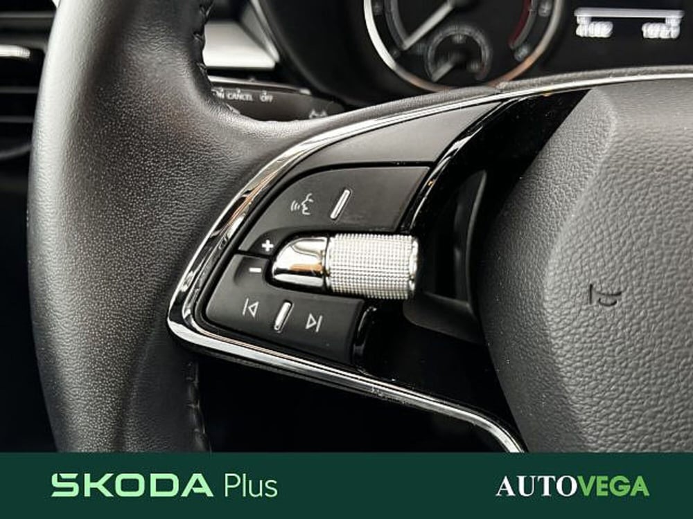 Skoda Fabia usata a Vicenza (18)
