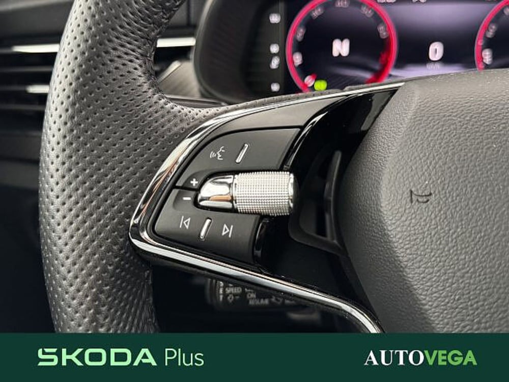 Skoda Kamiq usata a Vicenza (20)
