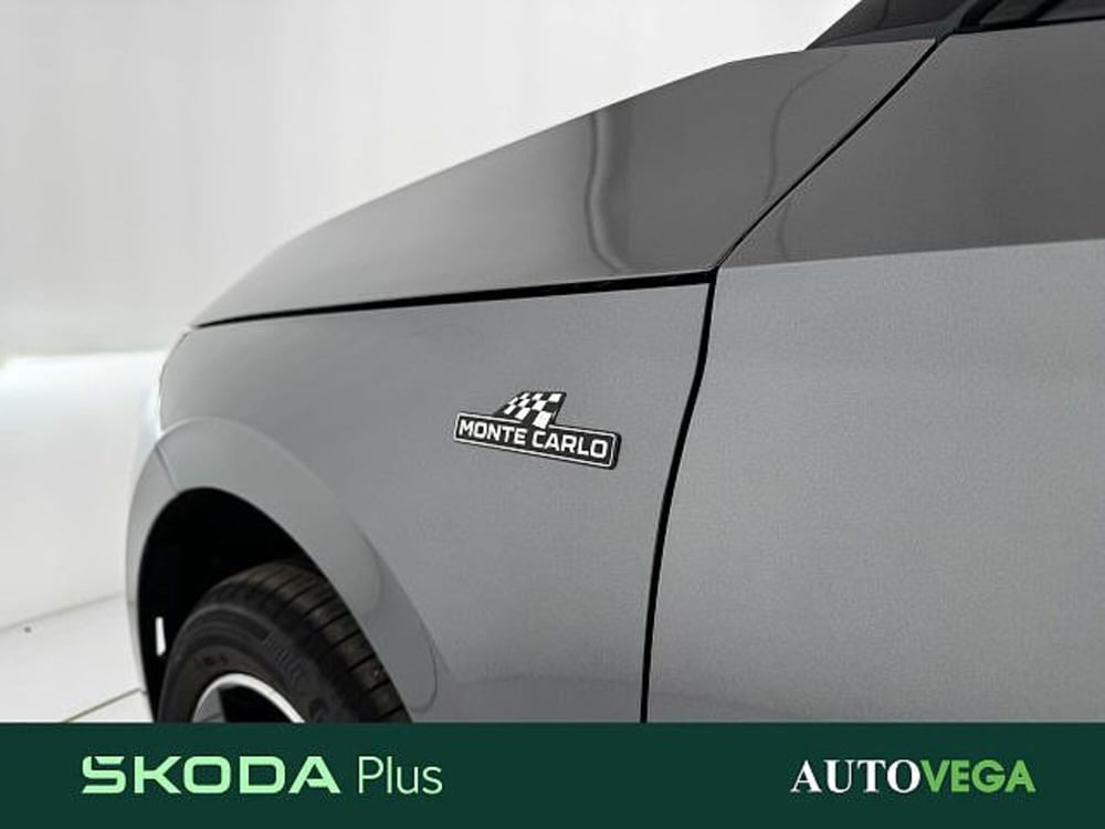 Skoda Kamiq usata a Vicenza (7)