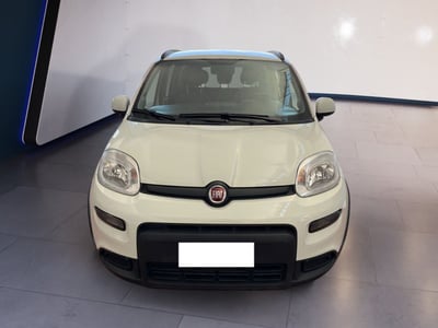 Fiat Panda 1.0 firefly hybrid s&amp;s 70cv 5p.ti del 2022 usata a Torino