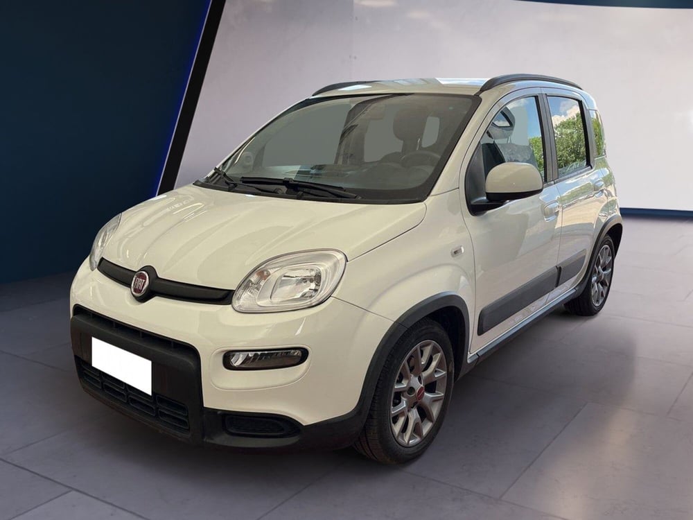 Fiat Panda usata a Torino (3)