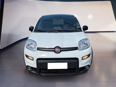 Fiat Panda 1.0 firefly hybrid s&amp;s 70cv 5p.ti del 2021 usata a Torino