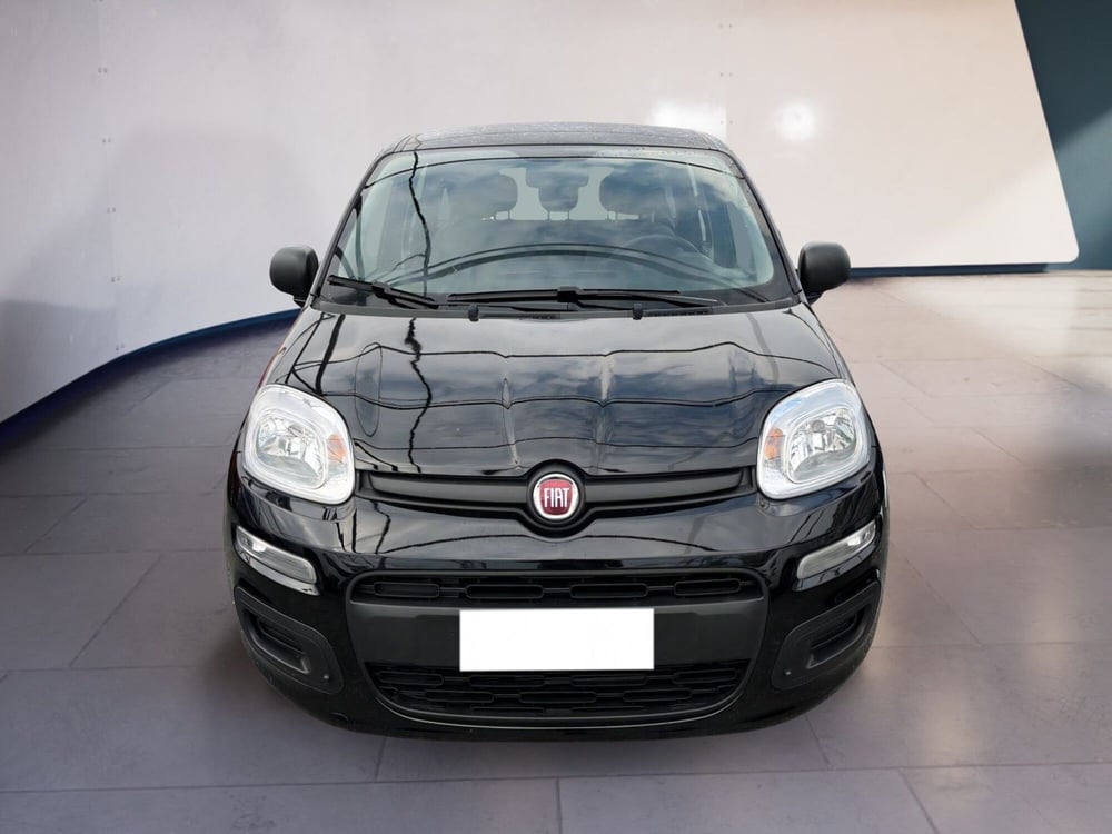 Fiat Panda usata a Torino