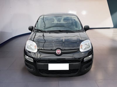 Fiat Panda 1.0 firefly hybrid s&amp;s 70cv 5p.ti del 2022 usata a Torino