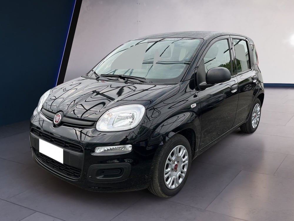 Fiat Panda usata a Torino (2)
