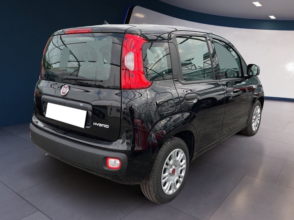 Fiat Panda usata a Torino (4)