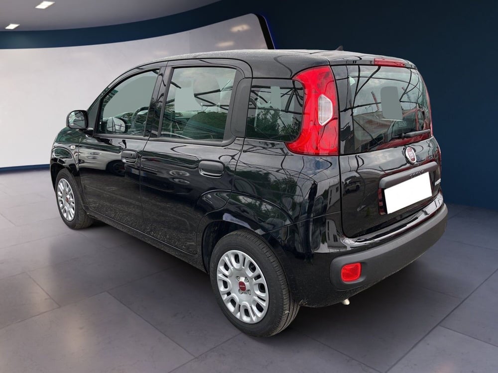 Fiat Panda usata a Torino (5)