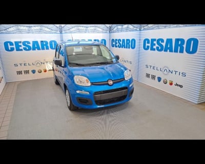 Fiat Panda 1.0 firefly hybrid s&amp;s 70cv 5p.ti nuova a Pont Saint Martin