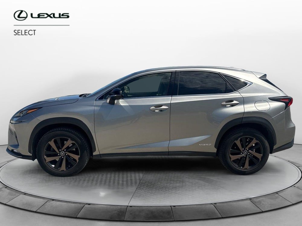 Lexus NX usata a Siracusa (2)
