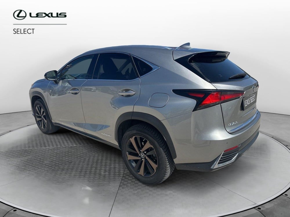 Lexus NX usata a Siracusa (4)