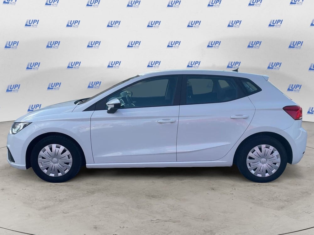 SEAT Ibiza usata a Pistoia (2)