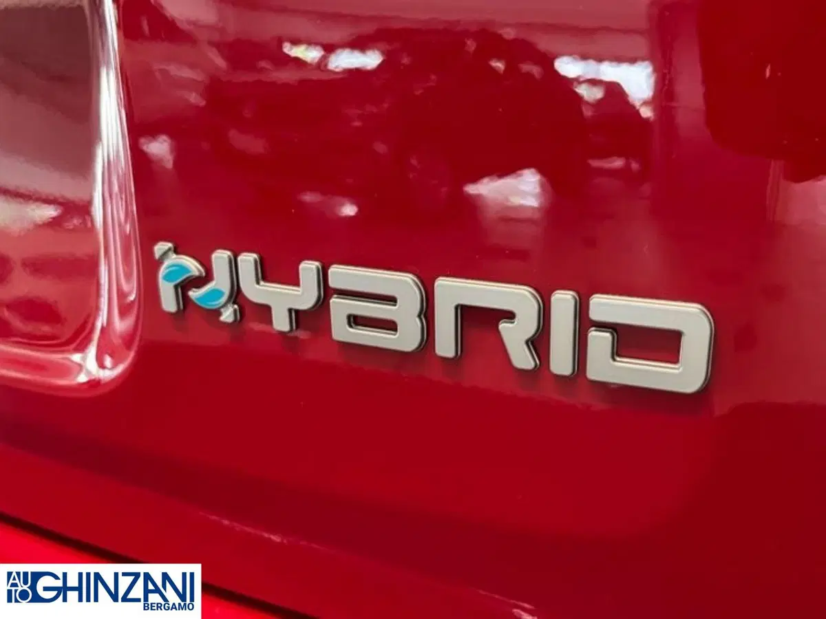 Fiat Panda Cross nuova a Bergamo (12)