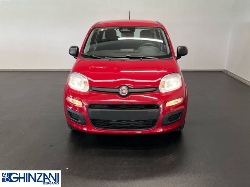 Fiat Panda Cross nuova a Bergamo (3)