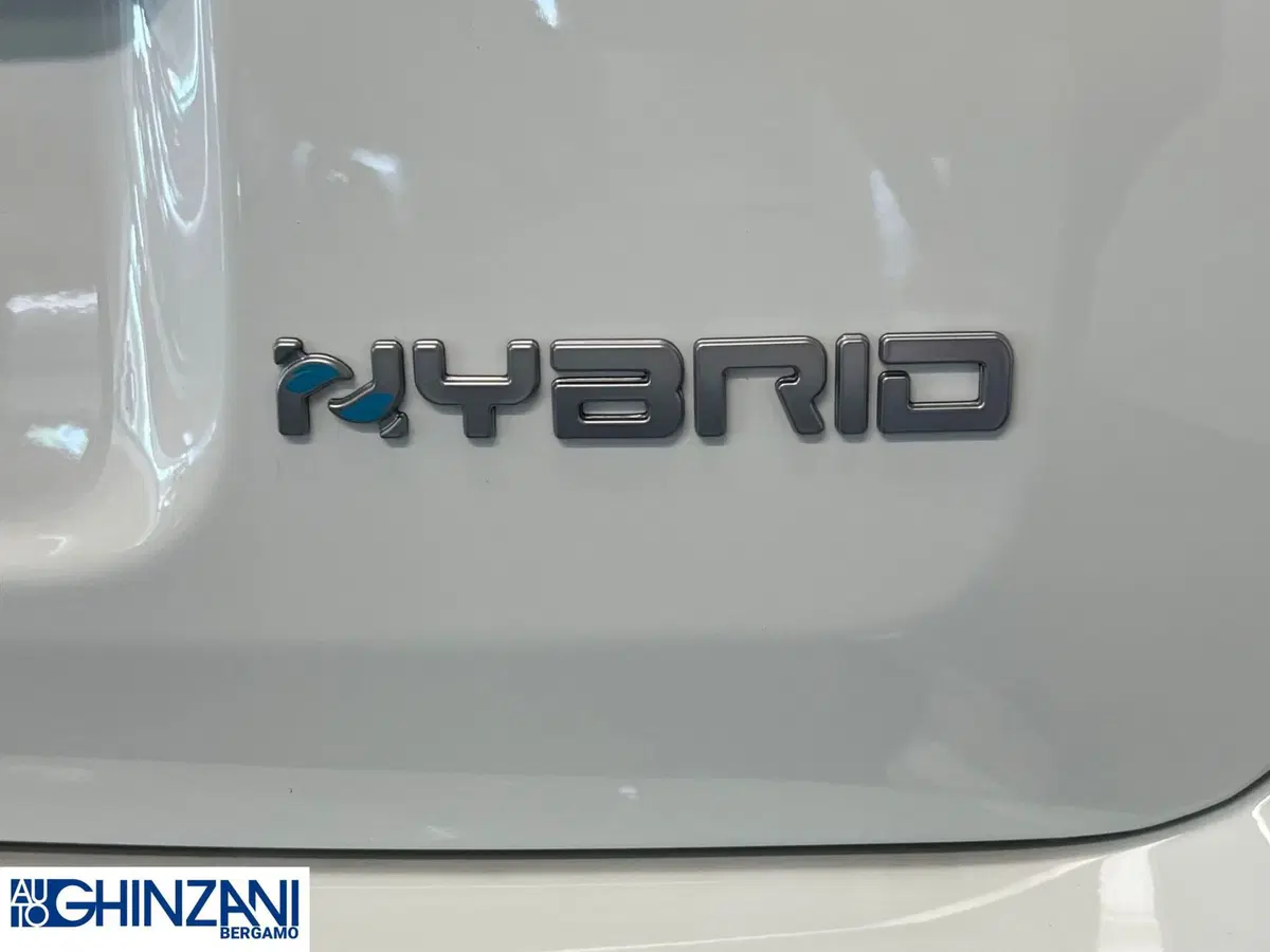 Fiat Panda Cross nuova a Bergamo (12)
