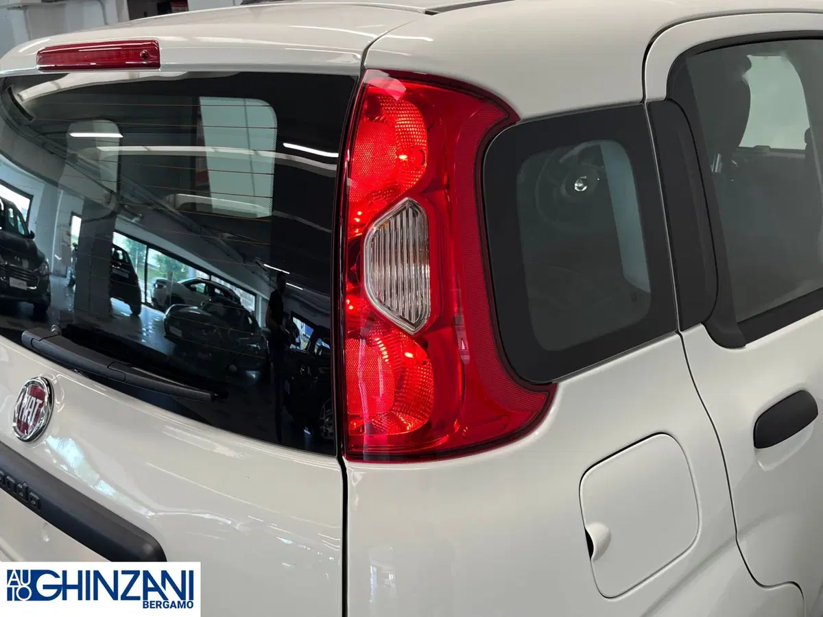 Fiat Panda Cross nuova a Bergamo (14)