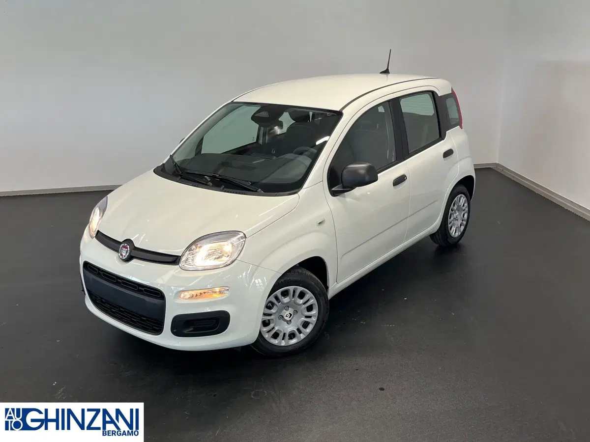 Fiat Panda Cross nuova a Bergamo (2)