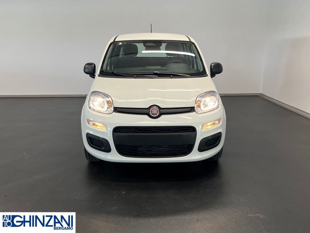 Fiat Panda Cross nuova a Bergamo (3)