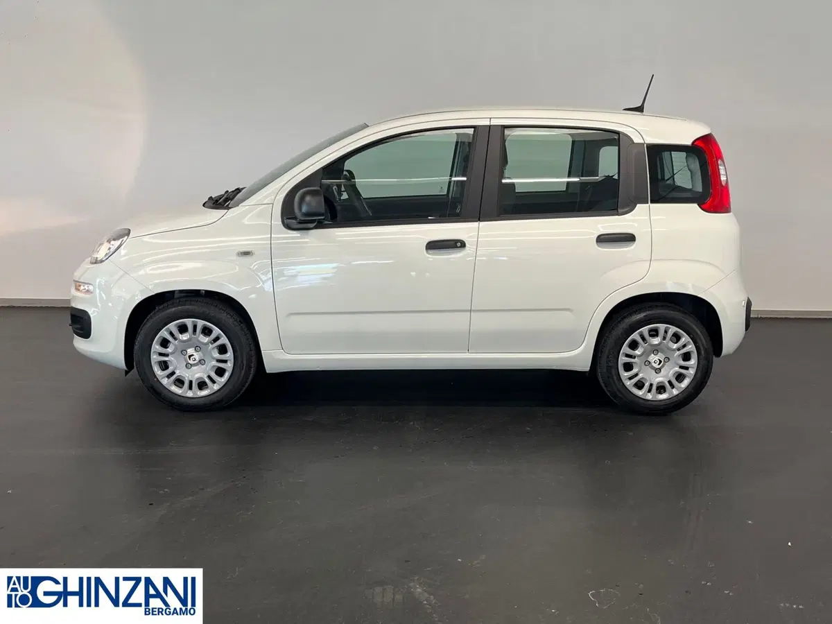 Fiat Panda Cross nuova a Bergamo (4)