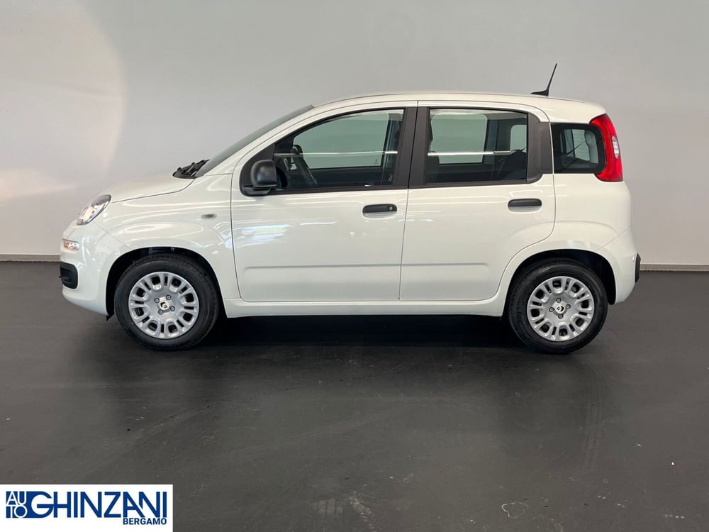Fiat Panda Cross nuova a Bergamo (4)