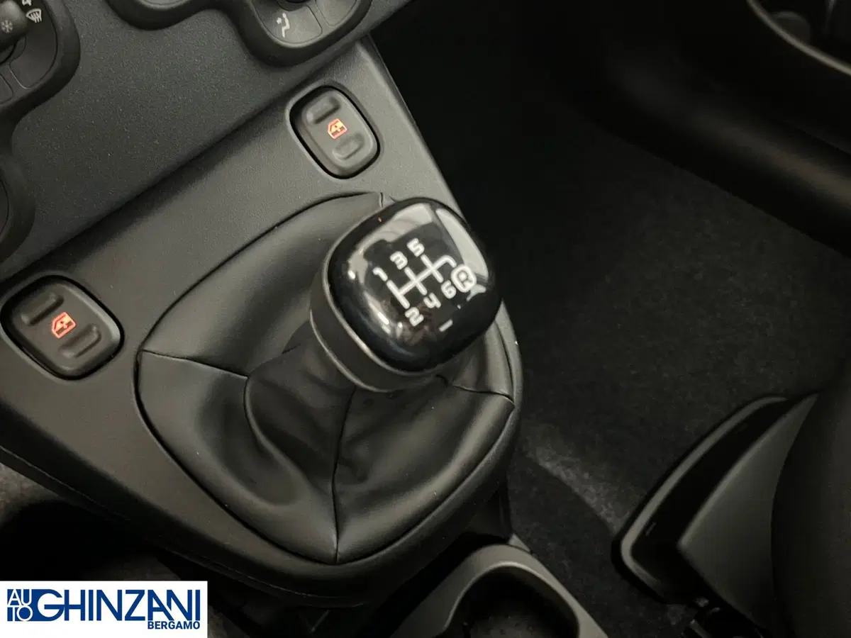 Fiat Panda Cross nuova a Bergamo (9)