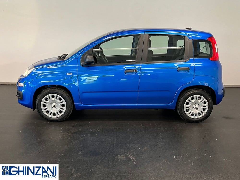 Fiat Panda Cross nuova a Bergamo (5)