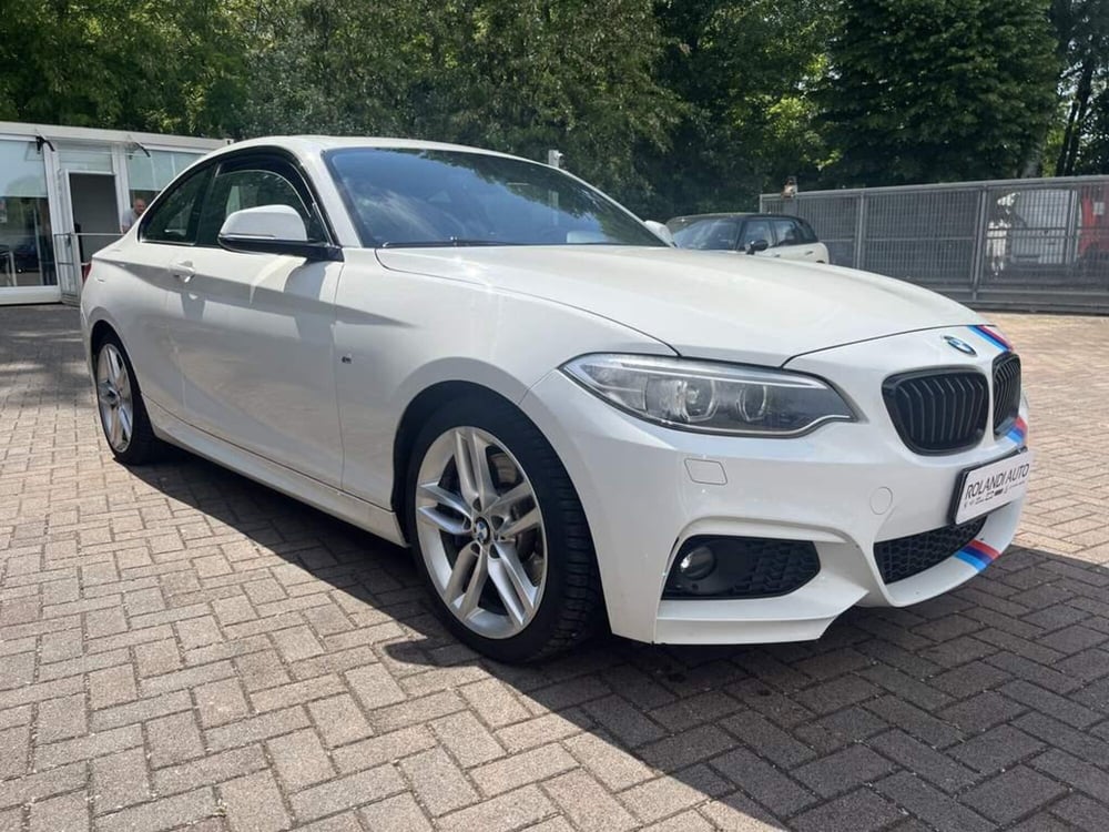BMW Serie 2 Coupé usata a Alessandria (9)
