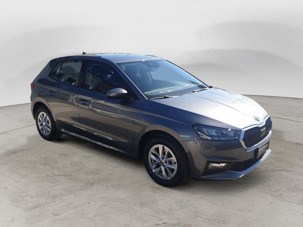 Skoda Fabia usata a Ancona (7)