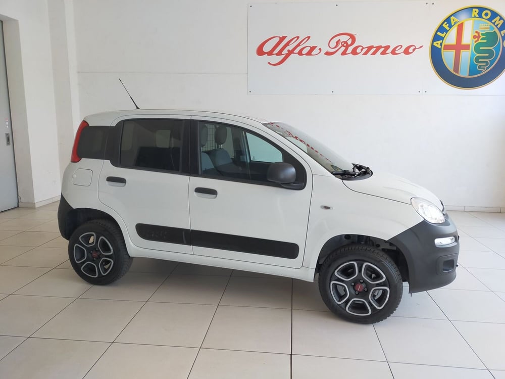 Fiat Panda usata a Reggio Emilia (4)